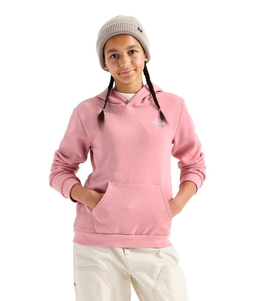 Teen Evolution Simple Dome P/O Hoodie