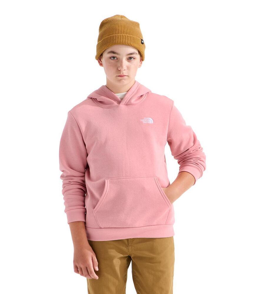 Teen Evolution Simple Dome P/O Hoodie