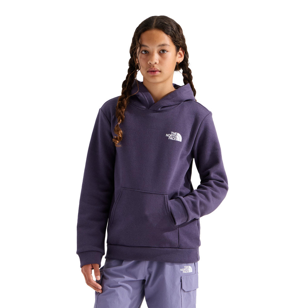 Teen Evolution Print Box NSE Pullover Hoodie