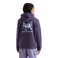 Teen Evolution Print Box NSE Pullover Hoodie