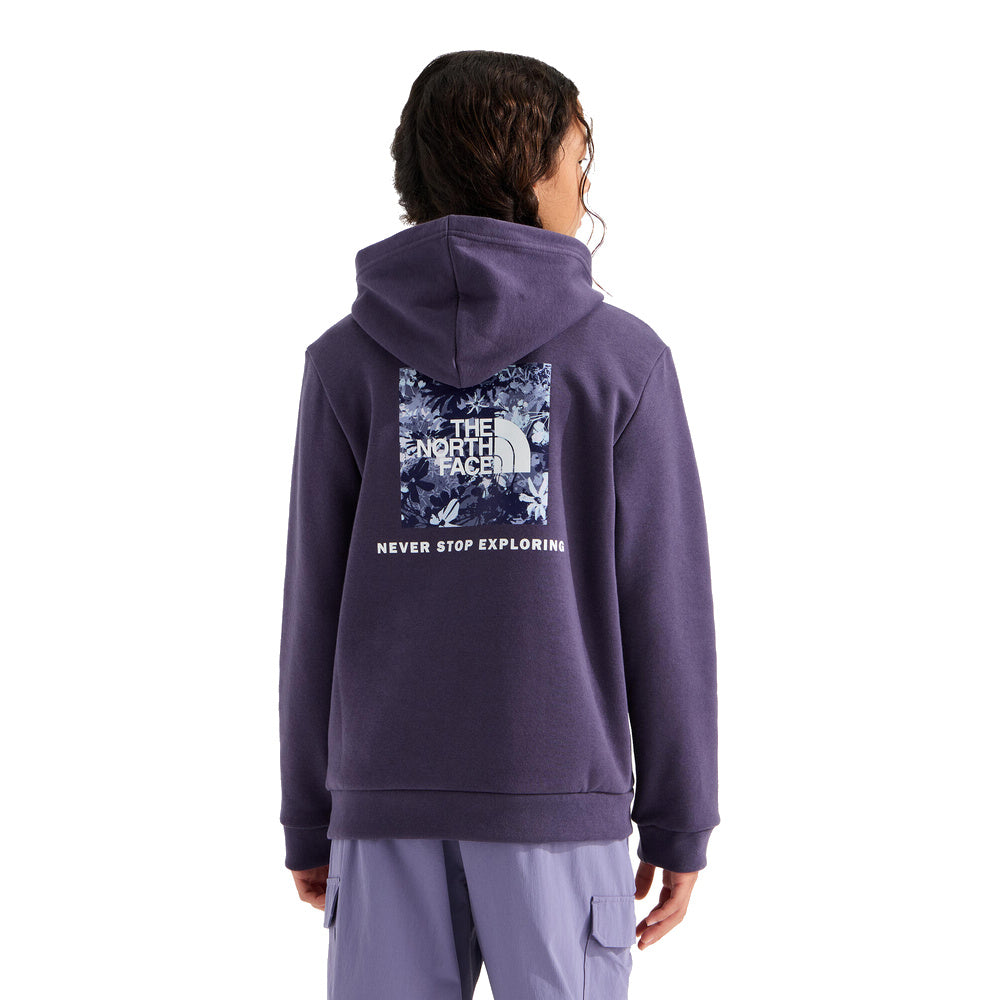 Teen Evolution Print Box NSE Pullover Hoodie