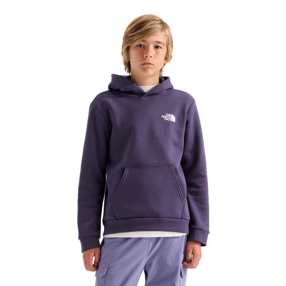 Teen Evolution Print Box NSE Pullover Hoodie