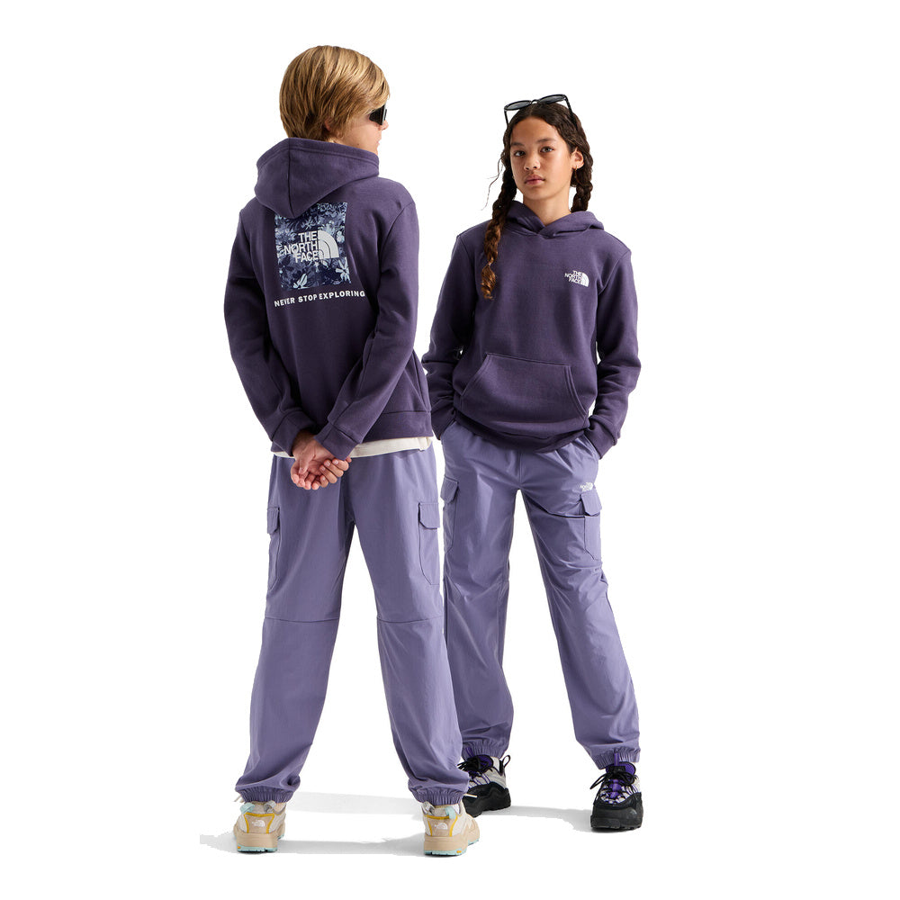 Teen Evolution Print Box NSE Pullover Hoodie