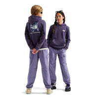 Teen Evolution Print Box NSE Pullover Hoodie