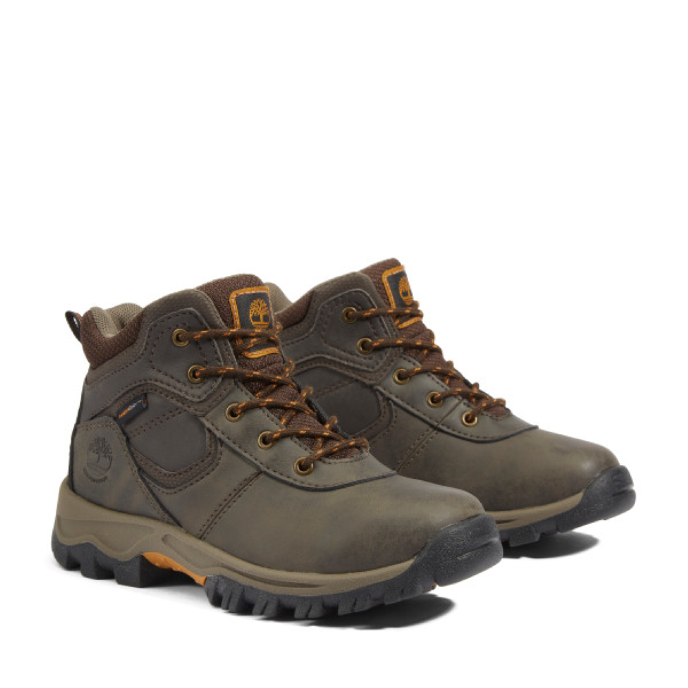 Youth Mt. Maddsen Waterproof Hiking Boot - Dark Brown (TB0A16I3-242)