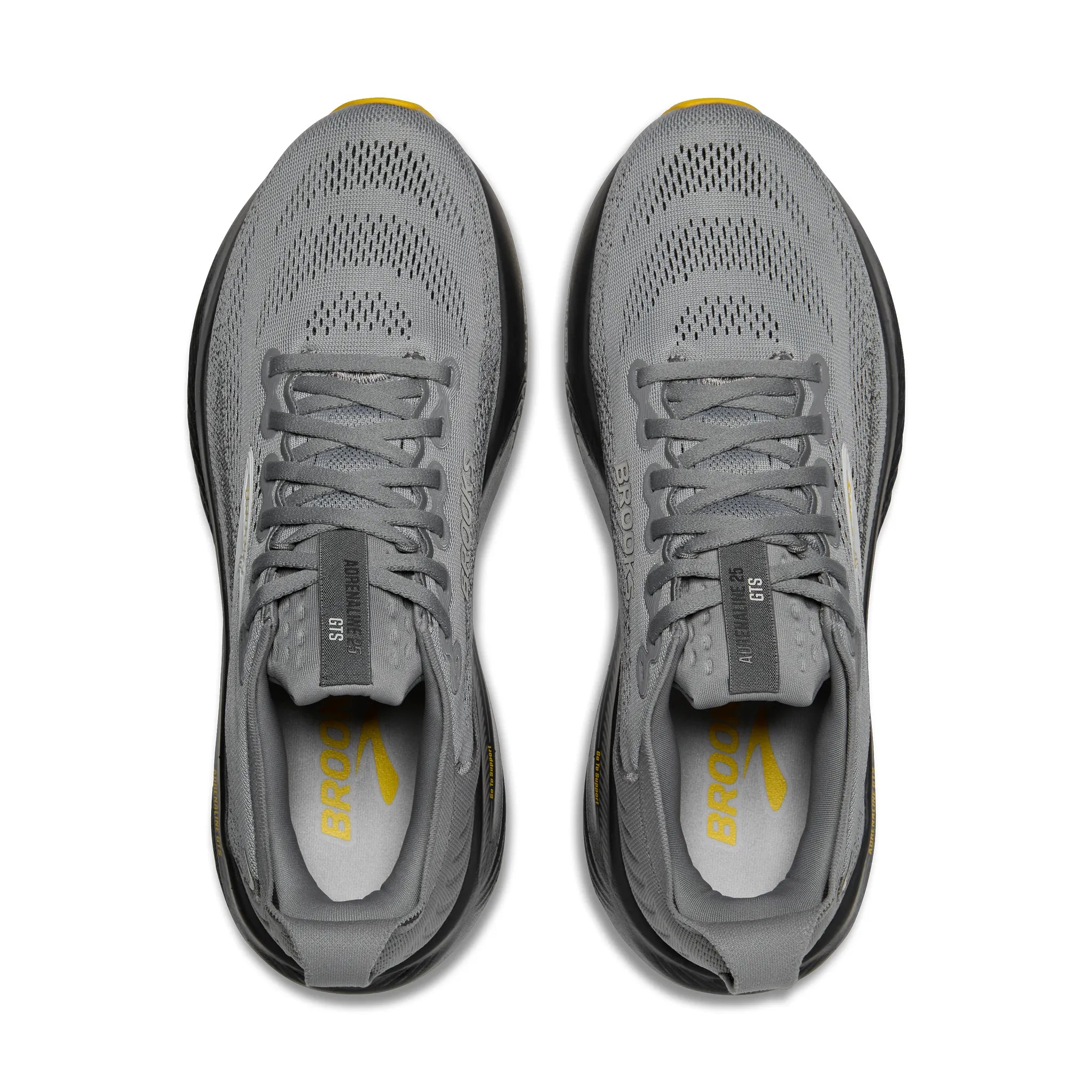 Men's Adrenaline GTS 25 (110454)